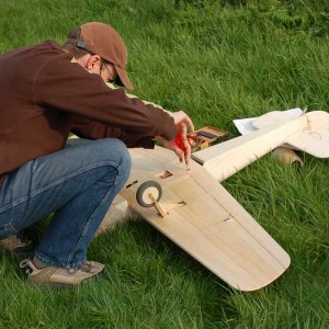 Sparrowhawk-75