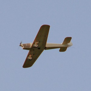 Sparrowhawk-76
