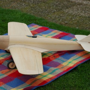 Sparrowhawk-118
