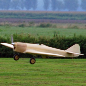 Sparrowhawk-121