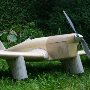 Sparrowhawk-135