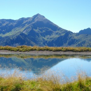 IMGP0026
