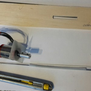 Plaatsing_askoker