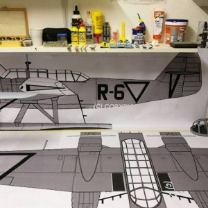 Fokker T8W - 313