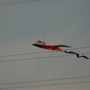 IMG_1760