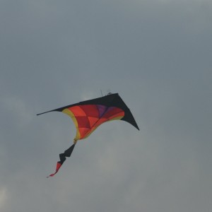 IMG_1759