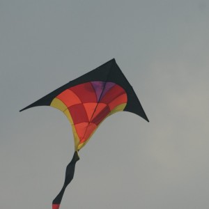 IMG_1758