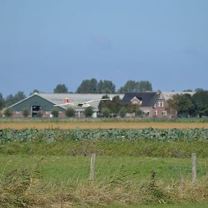 DSC_0075