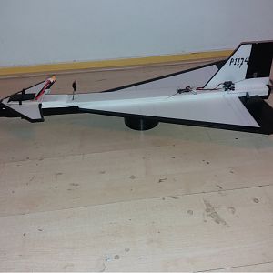 P1174_3