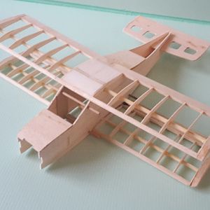 Zaun1