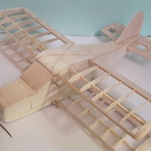 Zaun6