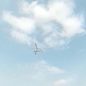MyflyingLuobo