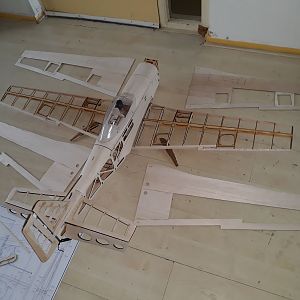 Wing2