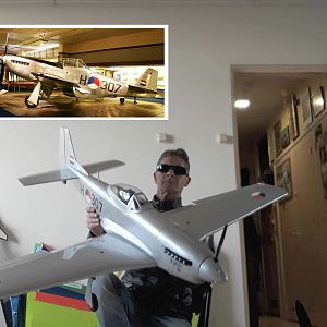 Mustang16apr2018