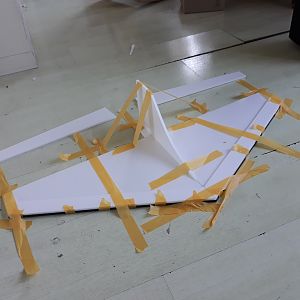 soaring delta wing