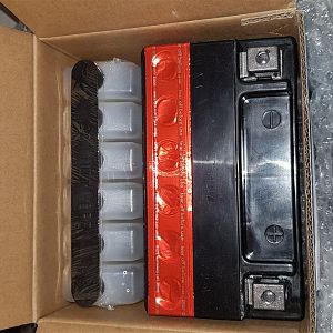 20181003_194530 (Medium)