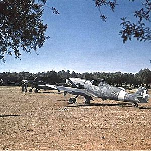 Bf-109__019