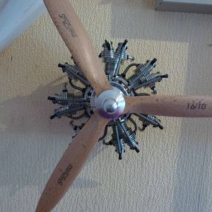 P1060056