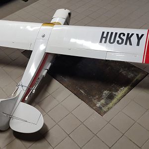Husky1