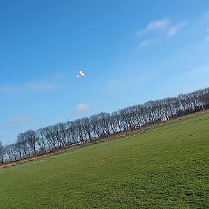 F3A Arcus biplane -Aeromusical practice
