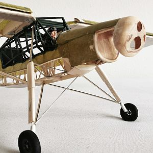 Fieseler_Storch__206