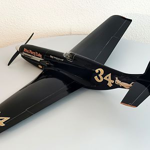 Ornithos_P-51__108