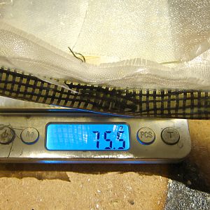 107