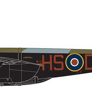 MOSQUITO__011