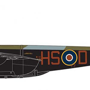 MOSQUITO__011