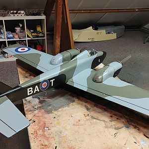 MOSQUITO__062