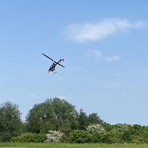 IMG_2419