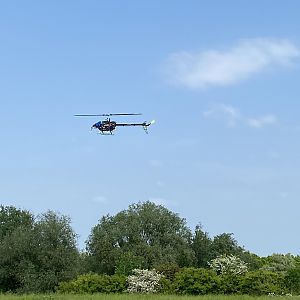 IMG_2420