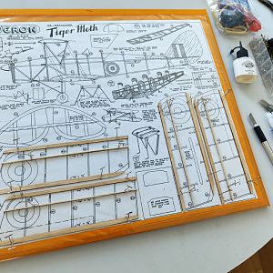 FF_TIGER_MOTH_003