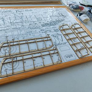 FF_TIGER_MOTH_004