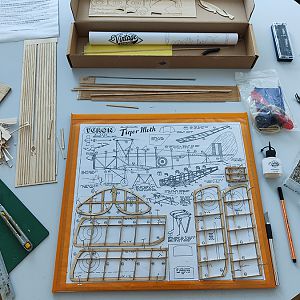 FF_TIGER_MOTH_005