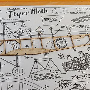 FF_TIGER_MOTH_007