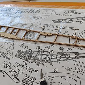 FF_TIGER_MOTH_008