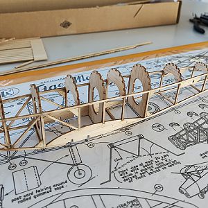 FF_TIGER_MOTH_010