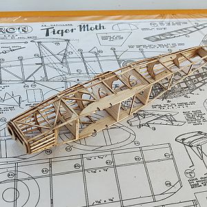 FF_TIGER_MOTH_012