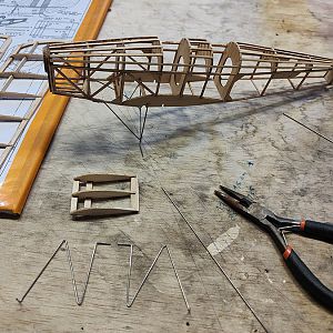 FF_TIGER_MOTH_014