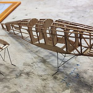 FF_TIGER_MOTH_015
