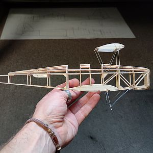 FF_TIGER_MOTH_018