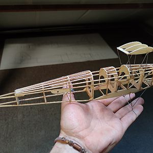 FF_TIGER_MOTH_019