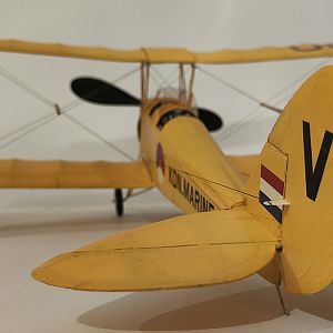 FF_TIGER_MOTH_069