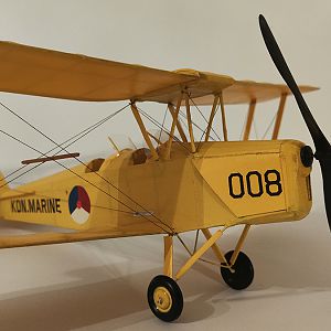 FF_TIGER_MOTH_070
