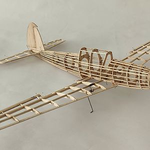 Veron_Chipmunk_022
