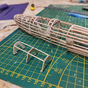 Veron_Chipmunk_030