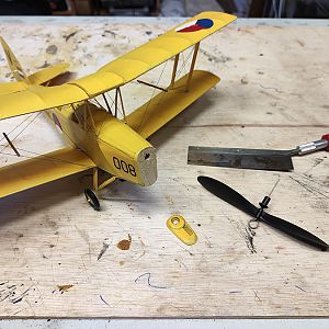 FF_TIGER_MOTH_072