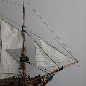 41-2-Stagzeilen