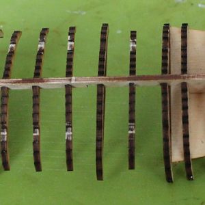 01-03-Skelet